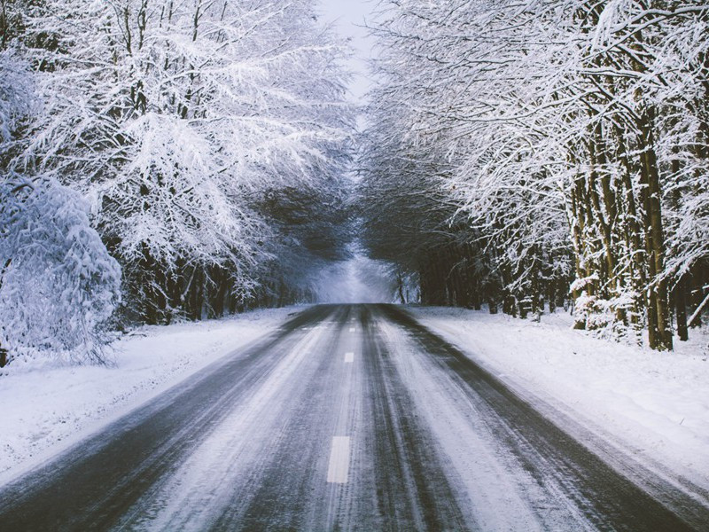 赠翰林张四学士垍