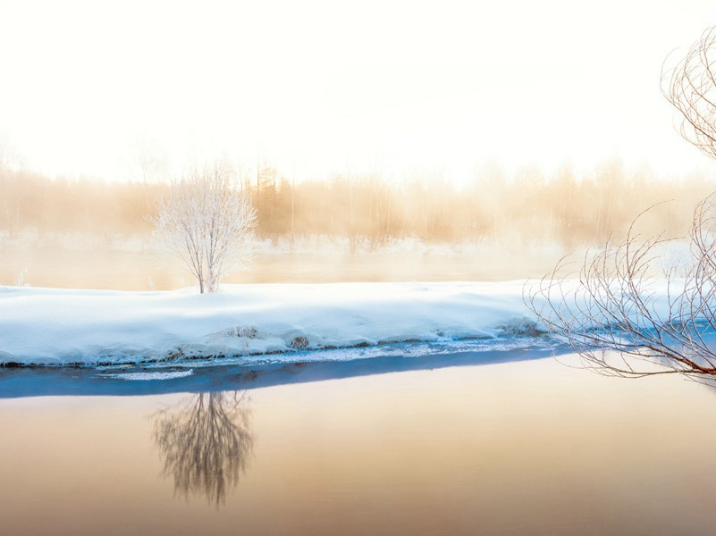 乾元中寓居同谷县作歌七首其七(男儿生不成名身已老)