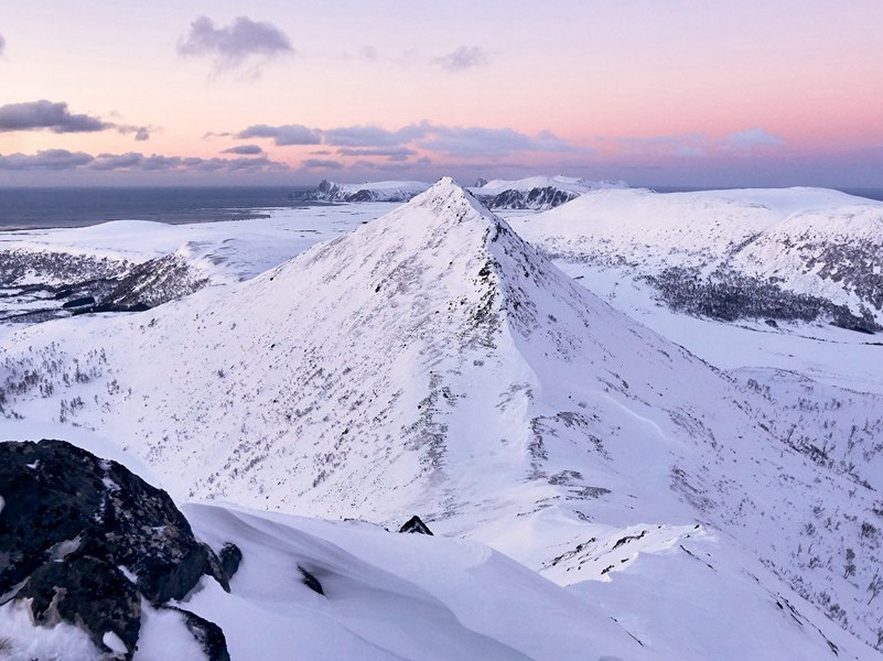 凭韦少府班觅松树子栽
