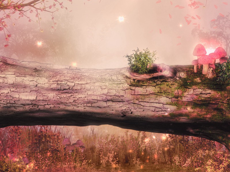 秦州杂诗二十首其十一(萧萧古塞冷)