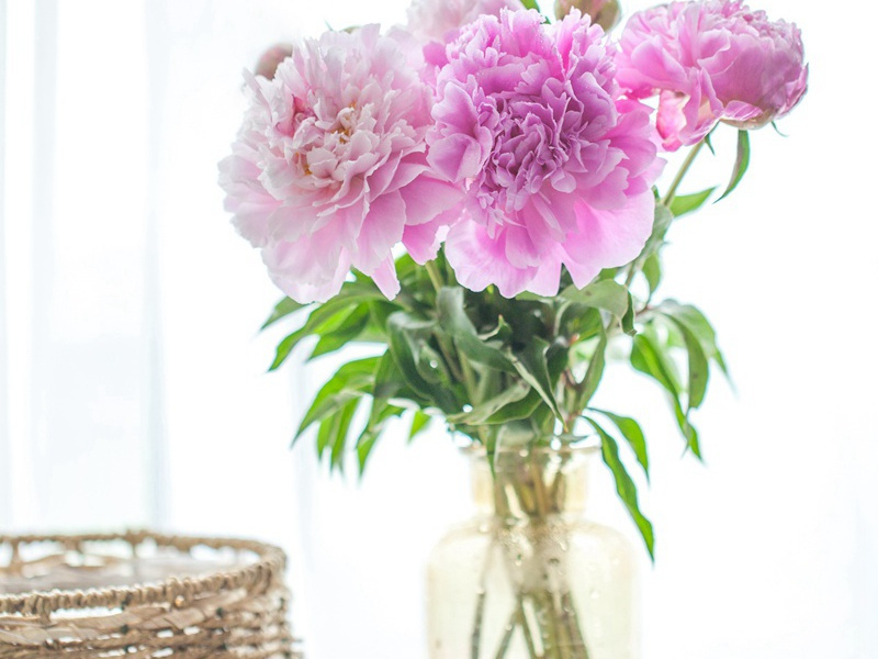 苦雨奉寄陇西公兼呈王征士