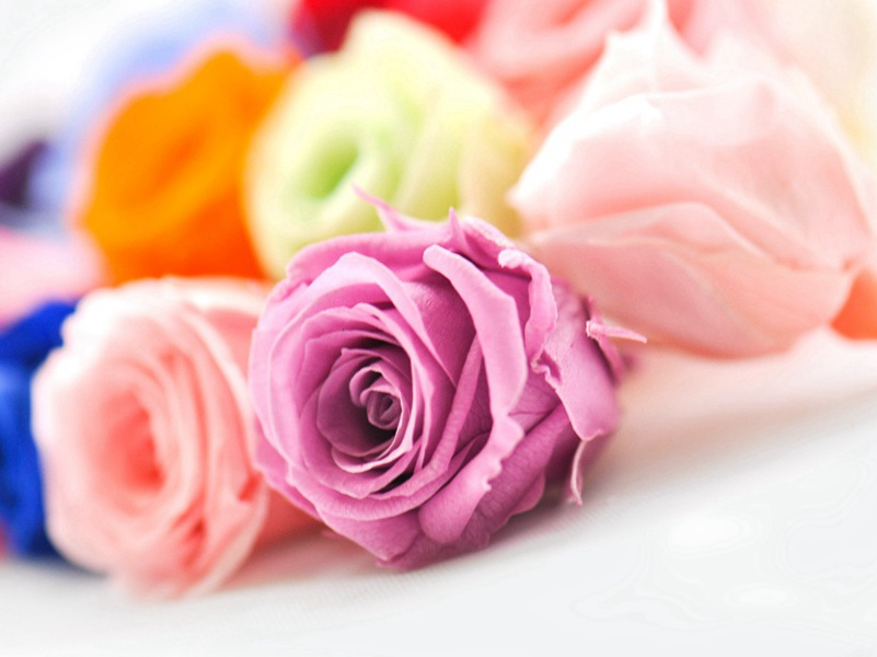 杜甫与齐梁诗人(一)