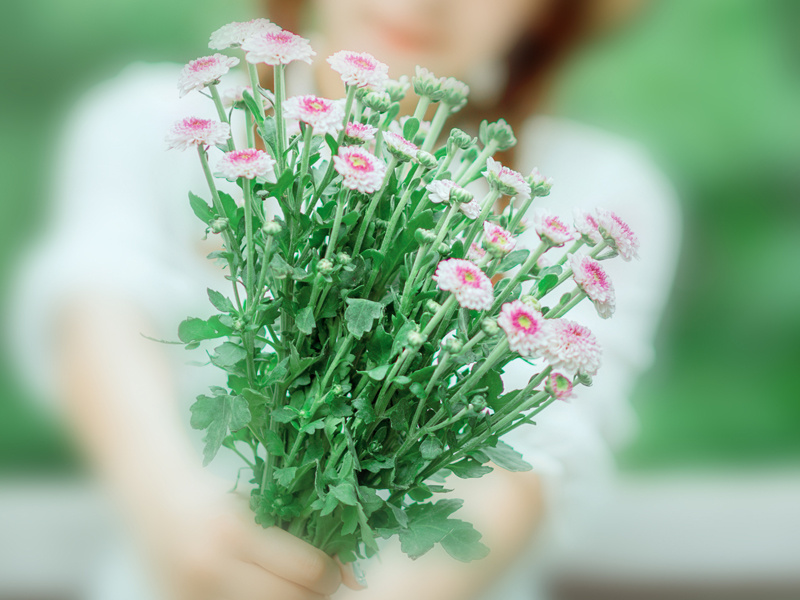 旅梓游踪-杜甫转蓬