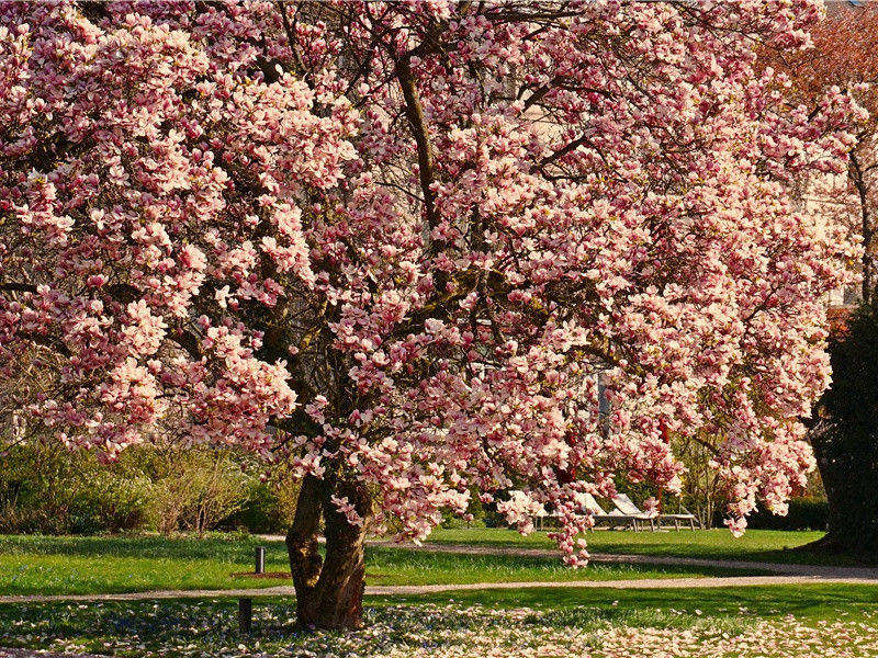 赞学与谢馈-杜甫潇湘夕霁