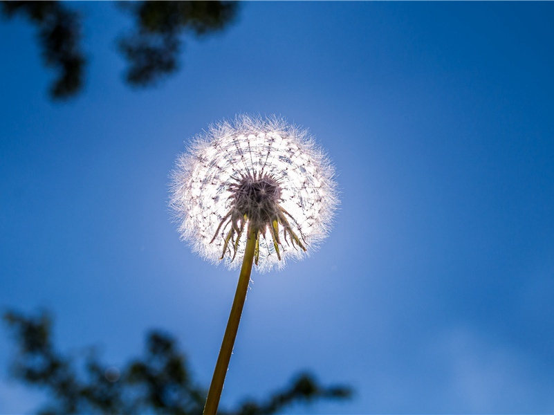 “忧端齐终南”-杜甫旅食京华