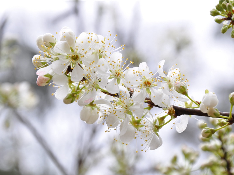 “安得壮士挽天河，净洗甲兵长不用”-杜甫眼中的天上人间