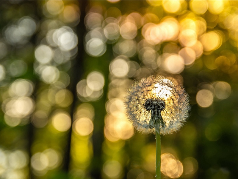 送贾阁老出汝州