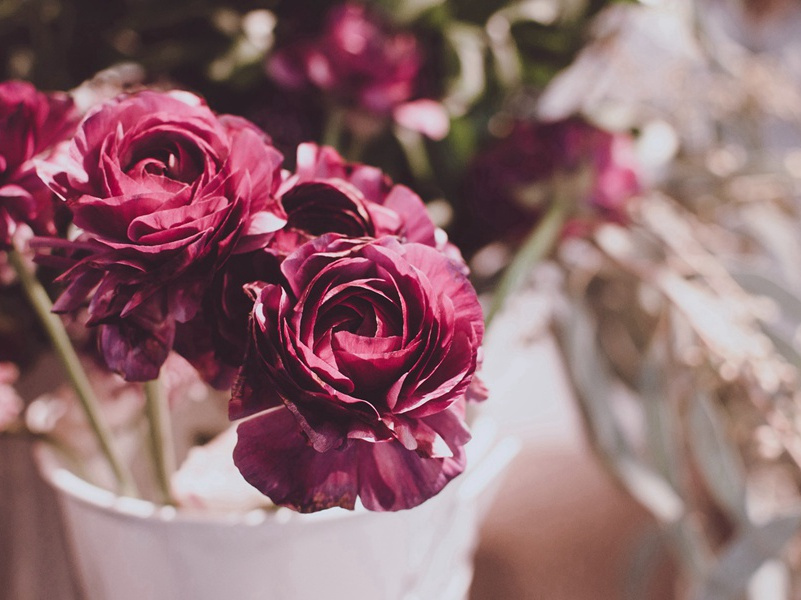 北征途中-杜甫长安遁复还