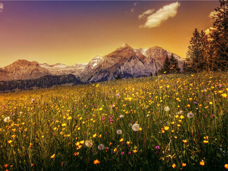 赠献纳使起居田舍人澄