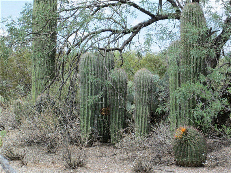 投简咸华两县诸子