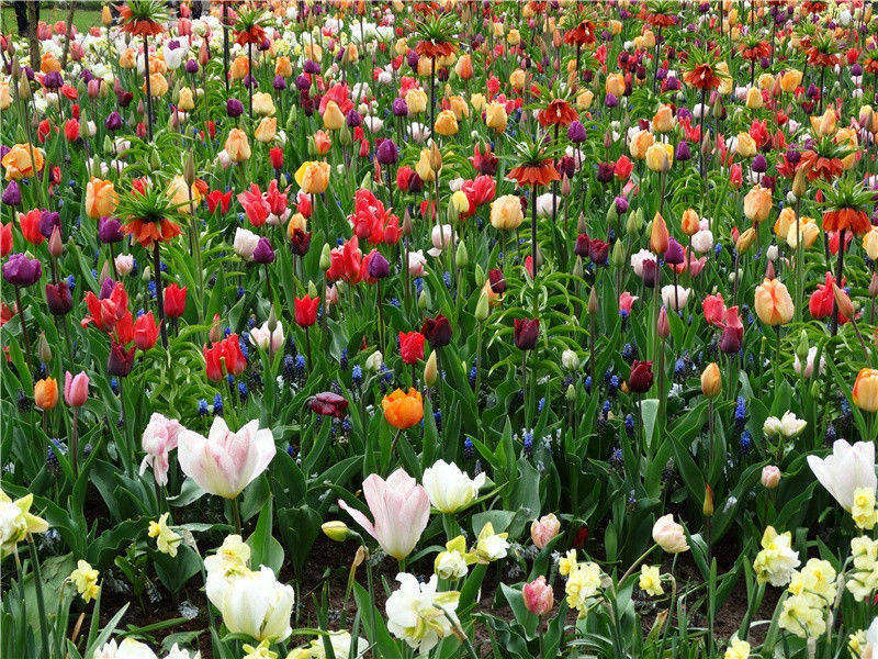 陪诸贵公子丈八沟携妓纳凉晚际遇雨其二(雨来沾席上)