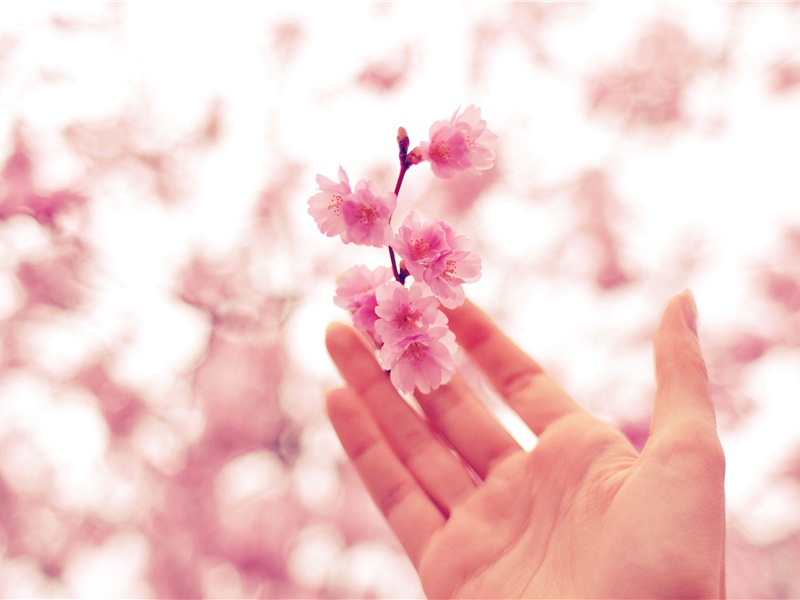 送率府程录事还乡