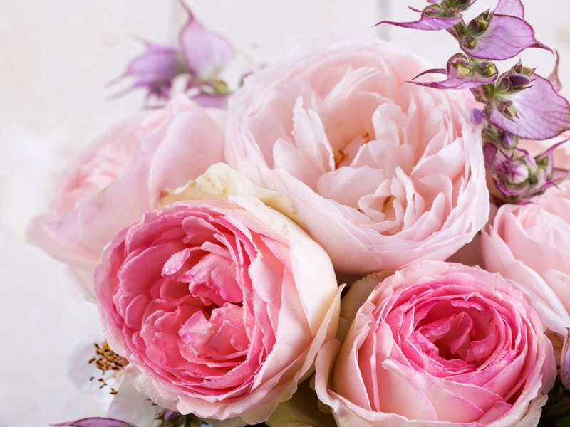 杜甫与六朝诗人(一)