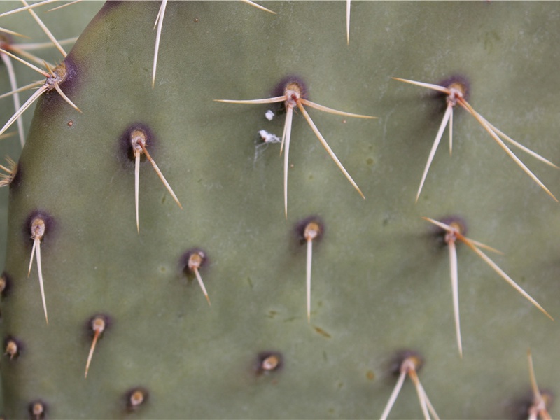 送高三十五书记十五韵