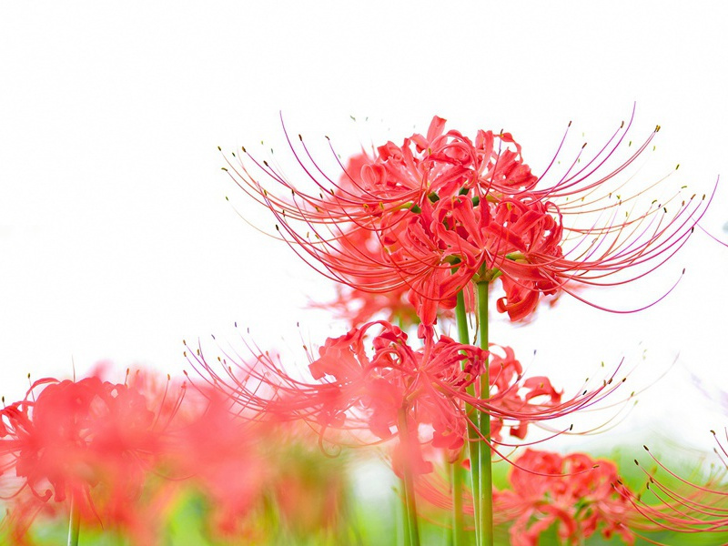 奉陪郑驸马韦曲二首