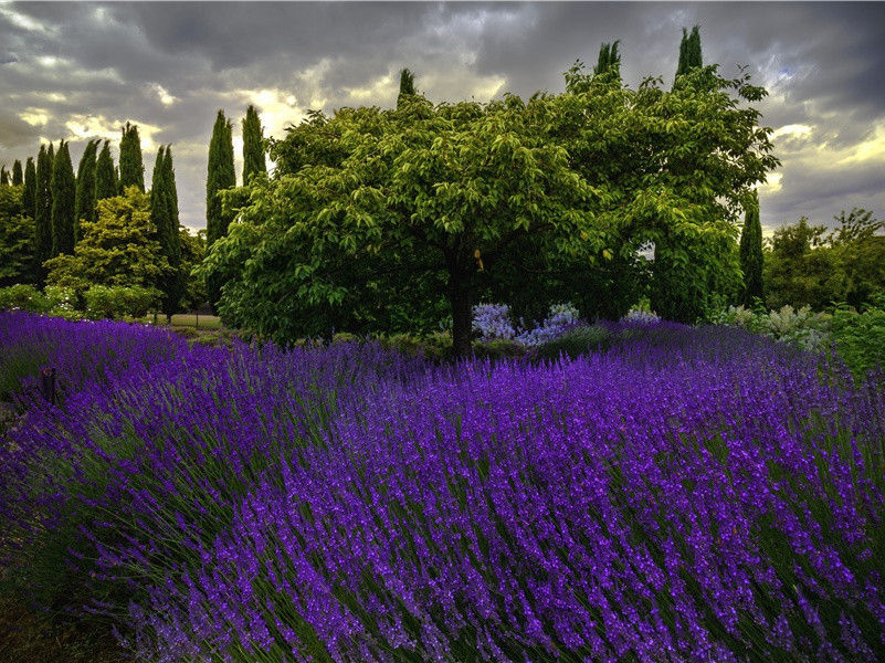 刘九法曹郑瑕丘石门宴集