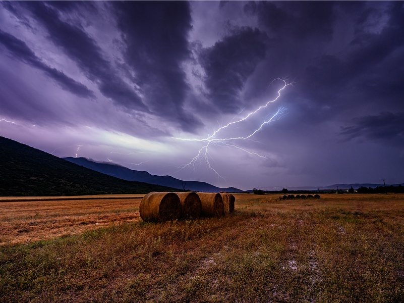 赠李白·秋来相顾尚飘蓬