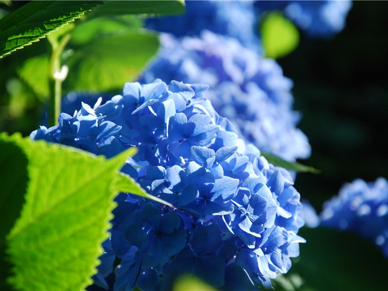 病后遇王倚饮赠歌