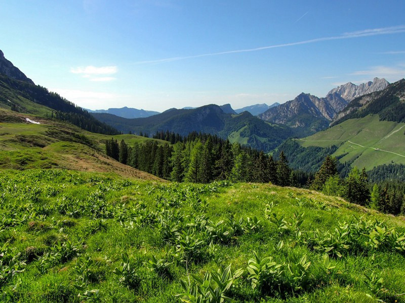 自京赴奉先县咏怀五百字