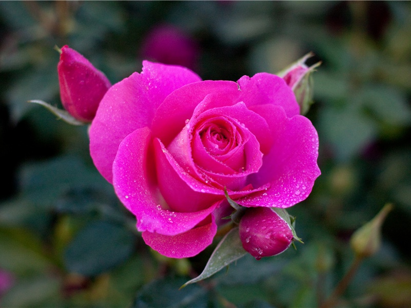 一百五日夜对月