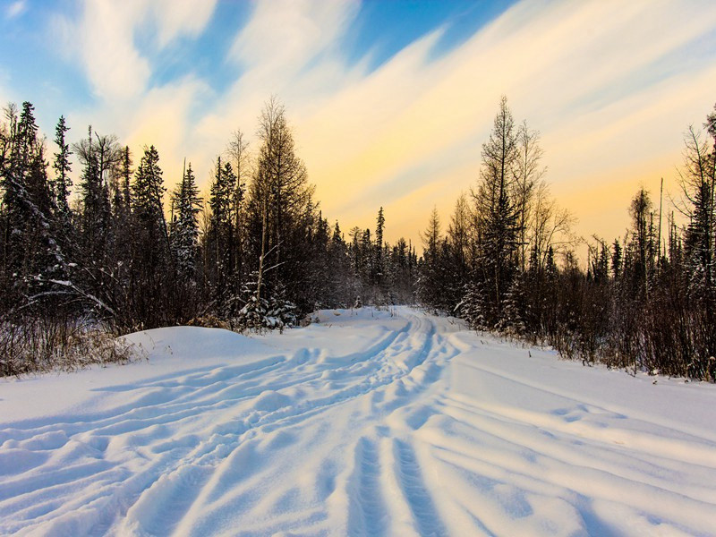 郑驸马池台喜遇郑广文同饮