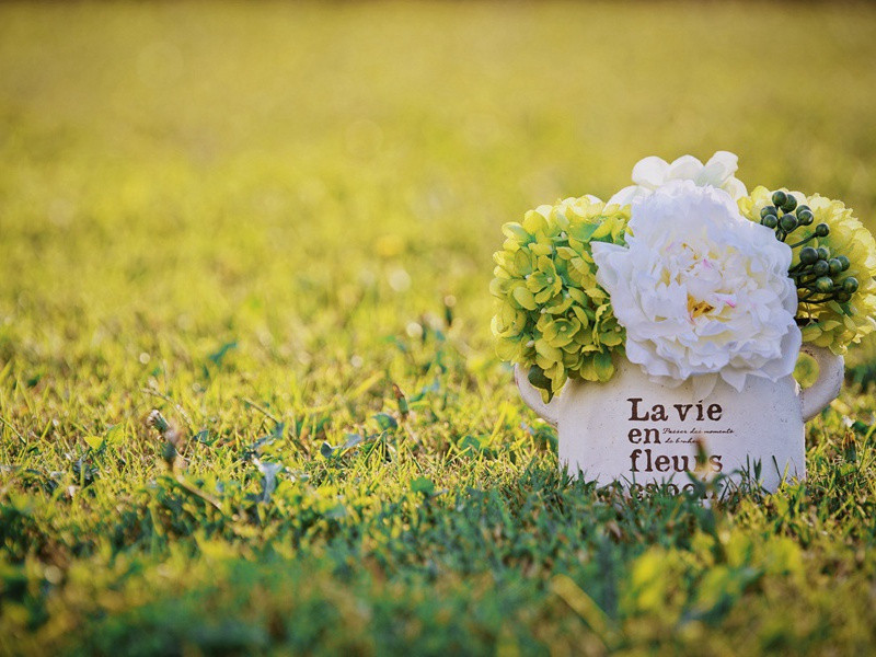 敬赠郑谏议十韵