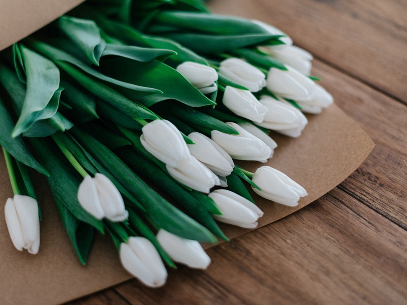 奉赠韦左丞丈二十二韵