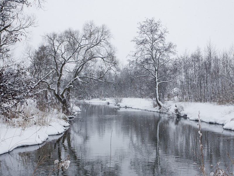 后出塞五首·其五(我本良家子)