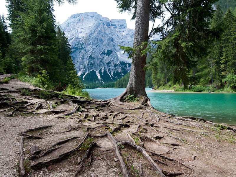 至德二载甫自京金光门出问道归凤翔乾元初…有悲往事