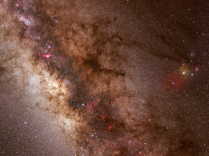 宁苦身以利人-杜甫是“暂止”的“飞乌”