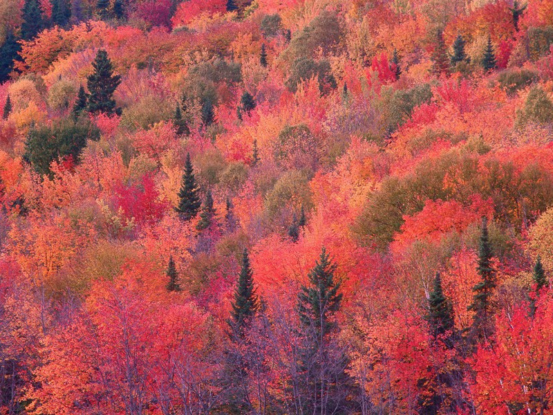 赋《变律》者之变-杜甫潇湘夕霁