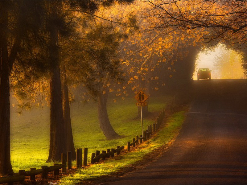 锦里游踪-杜甫是“暂止”的“飞乌”