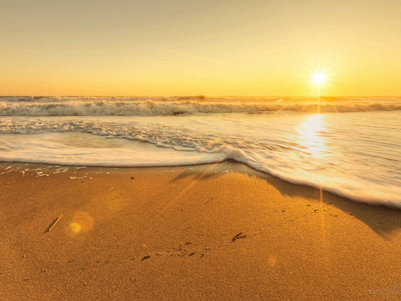 乾元中寓居同谷县作歌七首其二(长镵长镵白木柄)