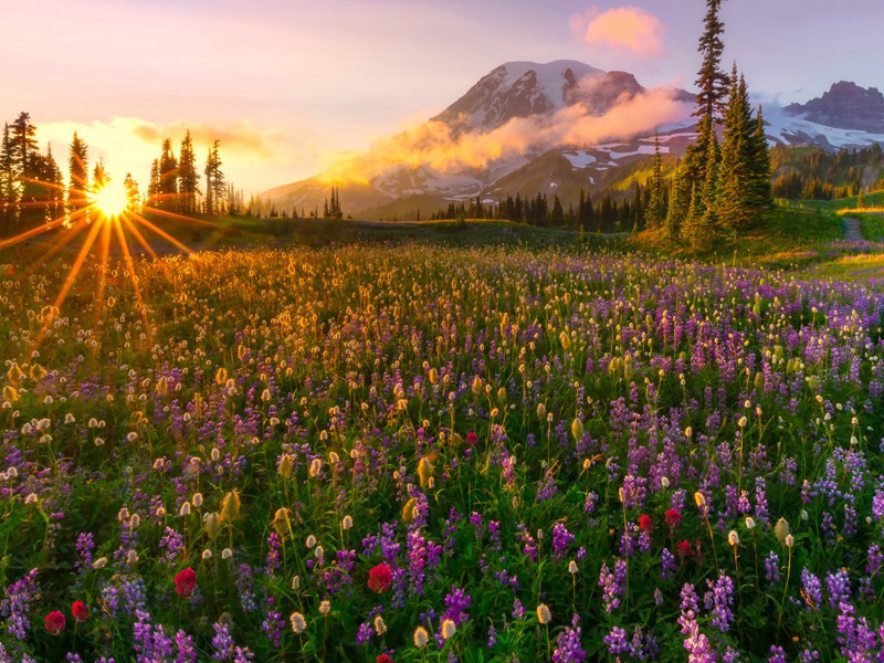 “几回青琐点朝班”-杜甫眼中的天上人间
