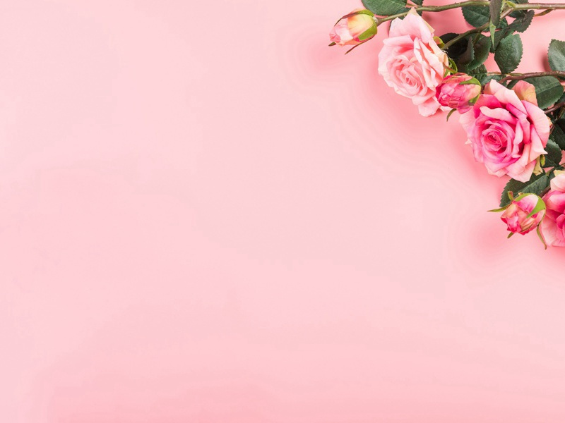 讽刺朝廷昏庸，创作《丽人行》(杜甫故事)