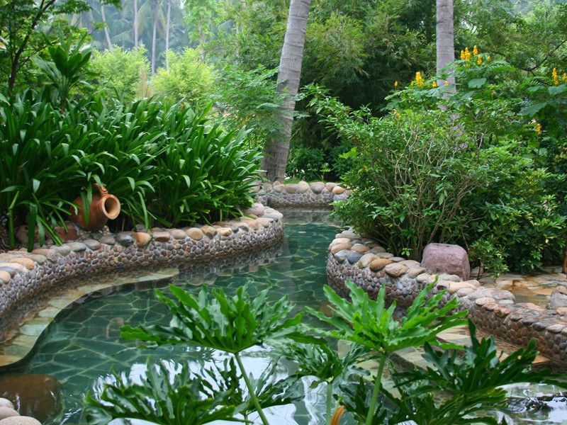 戏为韦偃双松图歌