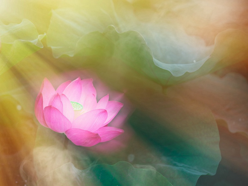 西枝村寻置草堂地夜宿赞公土室二首