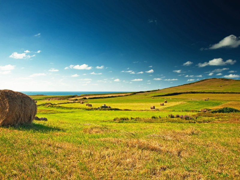 曲江二首其一(一片花飞减却春)