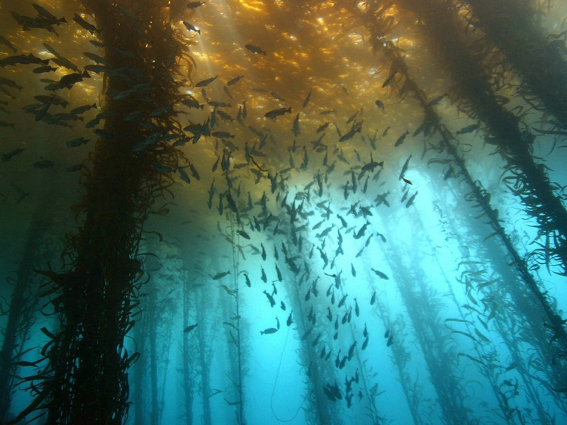 遣兴三首·我今日夜忧