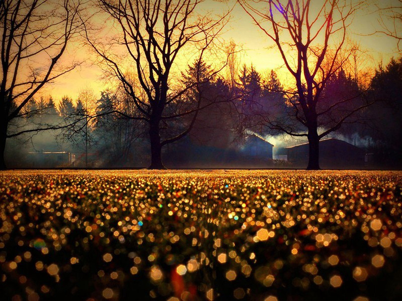 遣兴之一-杜甫度陇客秦州