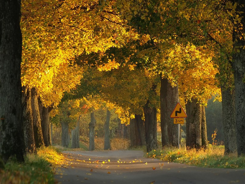 夔艺雌黄-杜甫江汉风帆