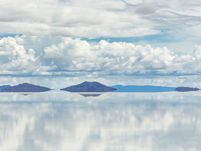“万里悲秋常作客”-杜甫丛菊两开