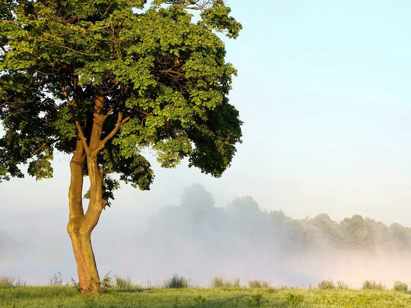 桥陵诗三十韵因呈县内诸官