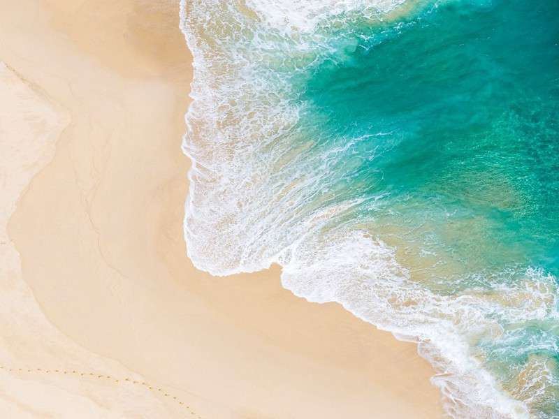 几个奇特的亲族中人-杜甫“未坠素业”的家世