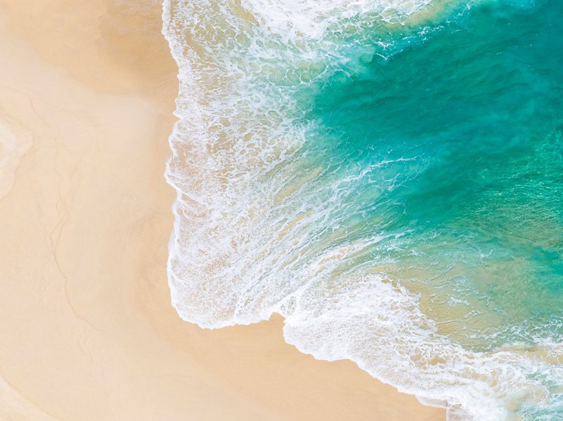 杜诗连章结构在诗学上的意义(四)