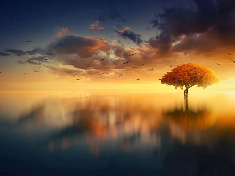 寄张十二山人彪三十韵