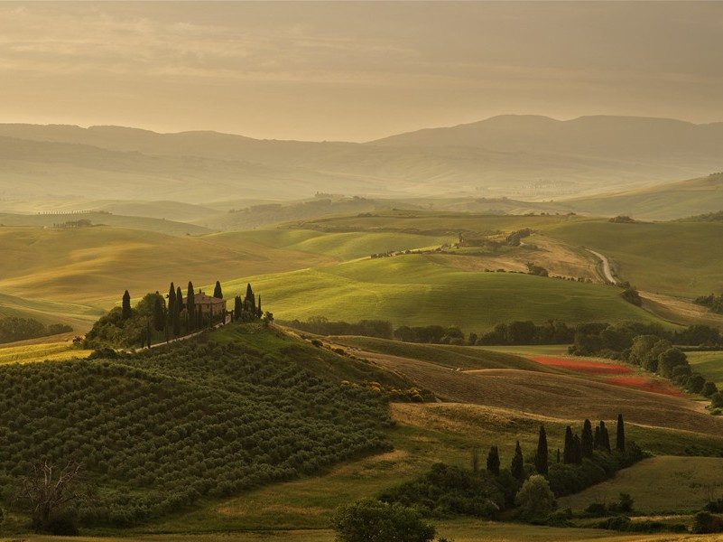 “正月喧莺未，兹辰放鹢初”-杜甫江汉风帆