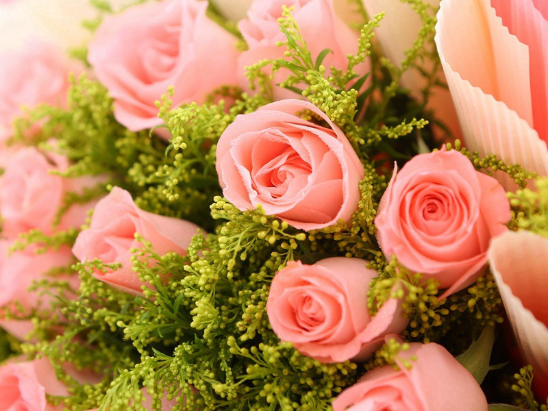 杜甫与齐梁诗人(三)