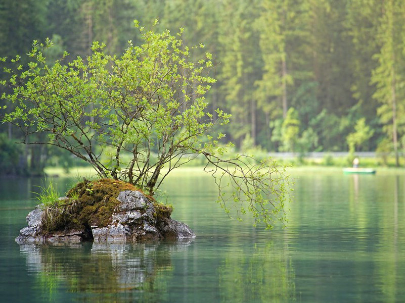 “太平盛世”和“太平天子”-杜甫的壮游生活
