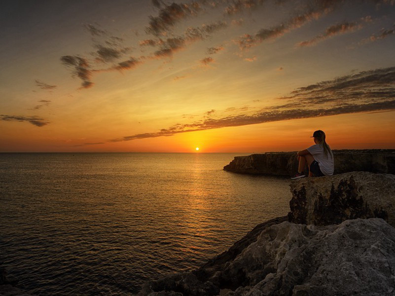 羌村三首其三(群鸡正乱叫)